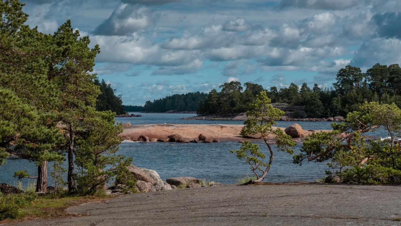 Tranquil seascape with pine trees and rocky islands under a cloudy sky