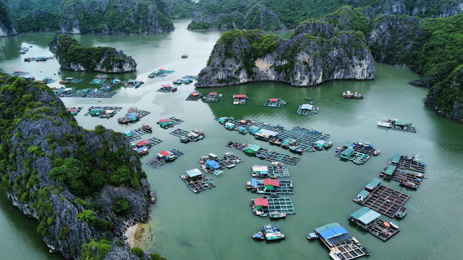 Explore the scenic floating villages amidst the limestone karsts of Hai Phong, Vietnam