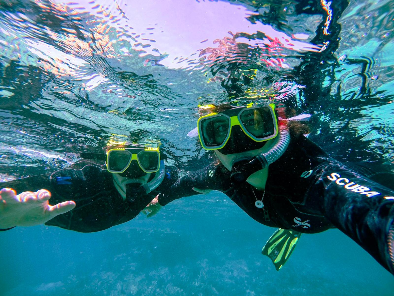 Great Barrier Reef snorkel day