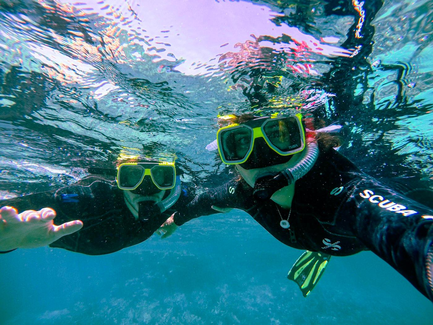 Great Barrier Reef snorkel day