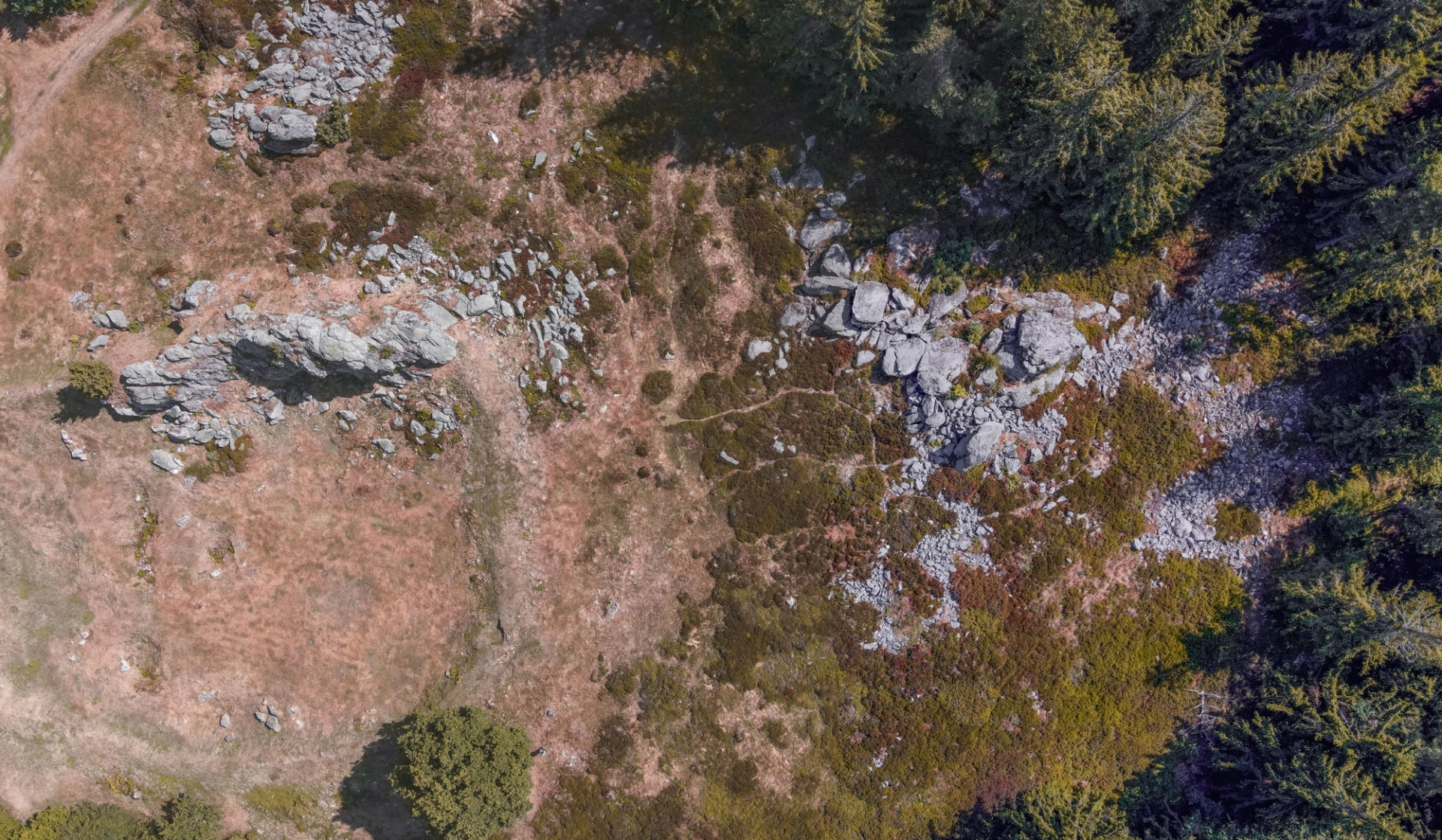 Drone shot of scenic rock formations and forest in Teunz, Germany