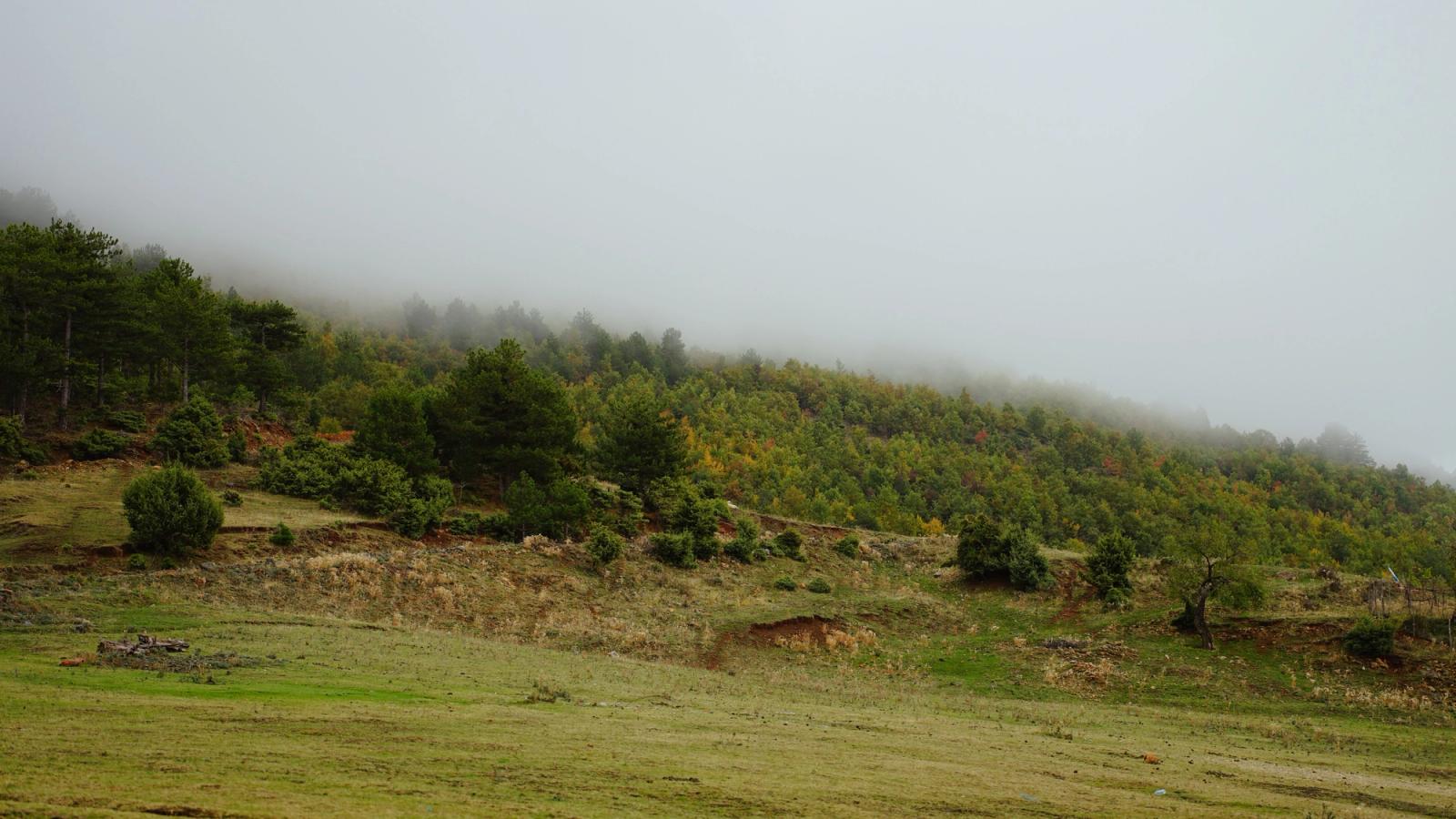 Foggy hills with lush greenery near Gramsh, Albania, creating a serene landscape