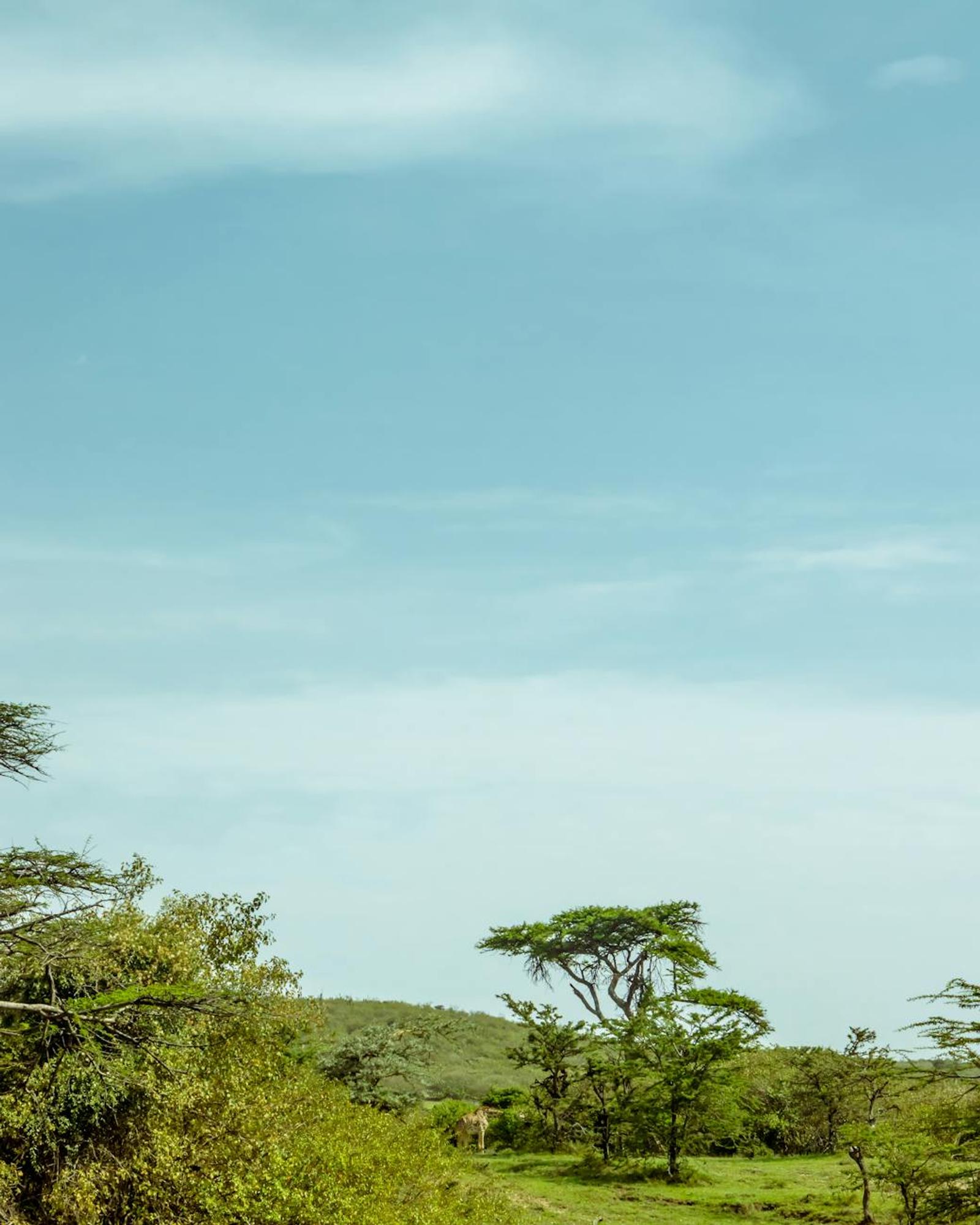 Lake Nakuru Masai Mara — Kenya