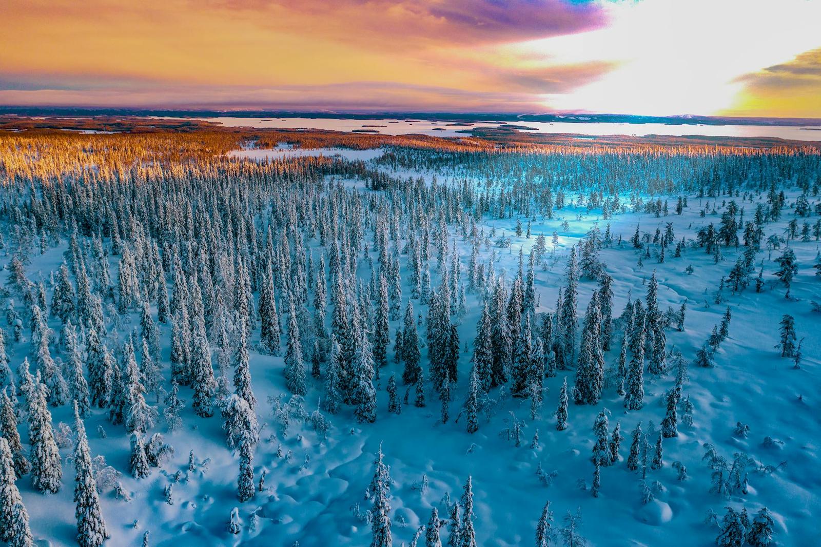 Aerial view of snow-covered forest under a colourful sunset sky