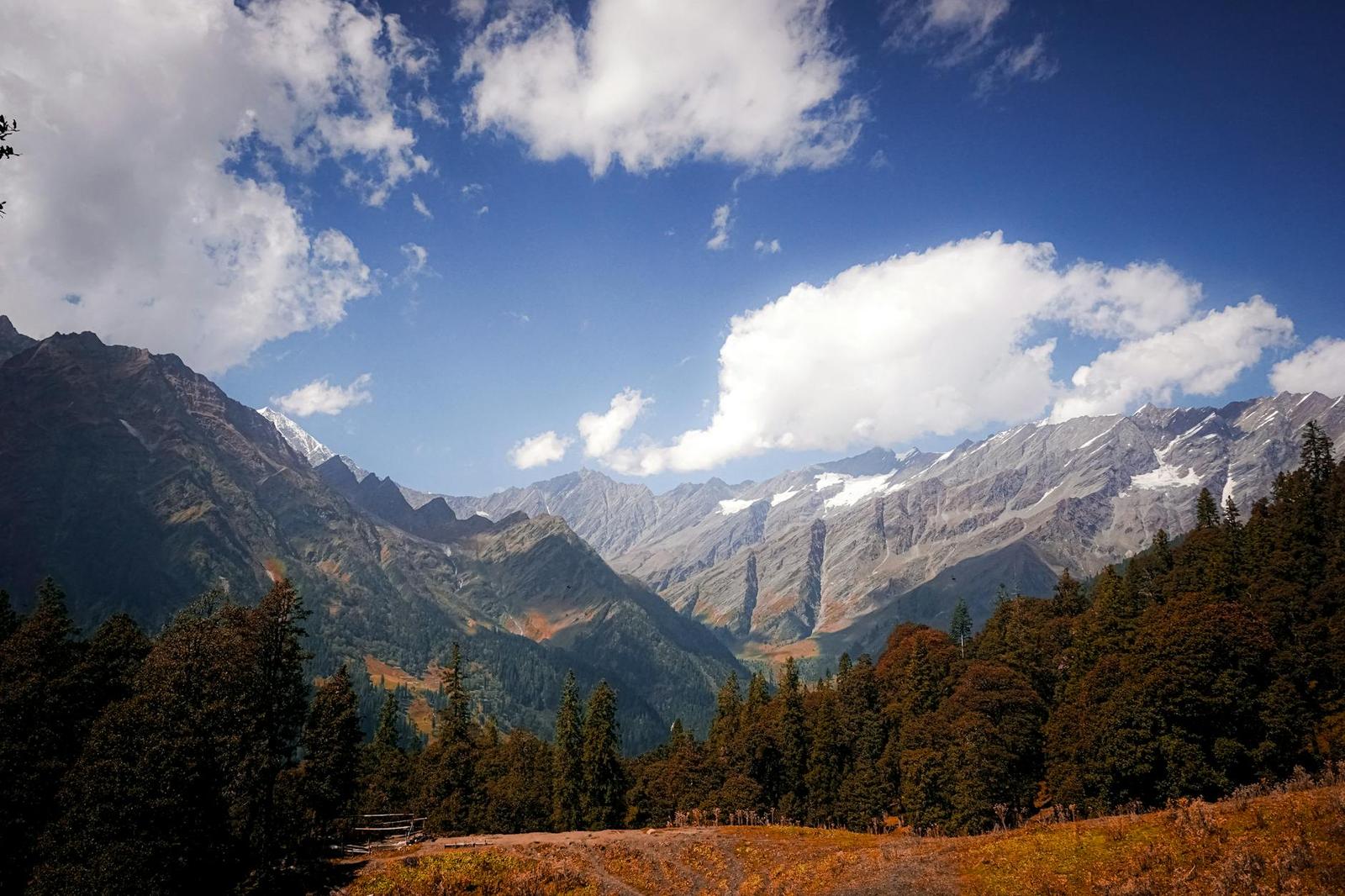 A forested mountain valley under a partly cloudy blue sky
