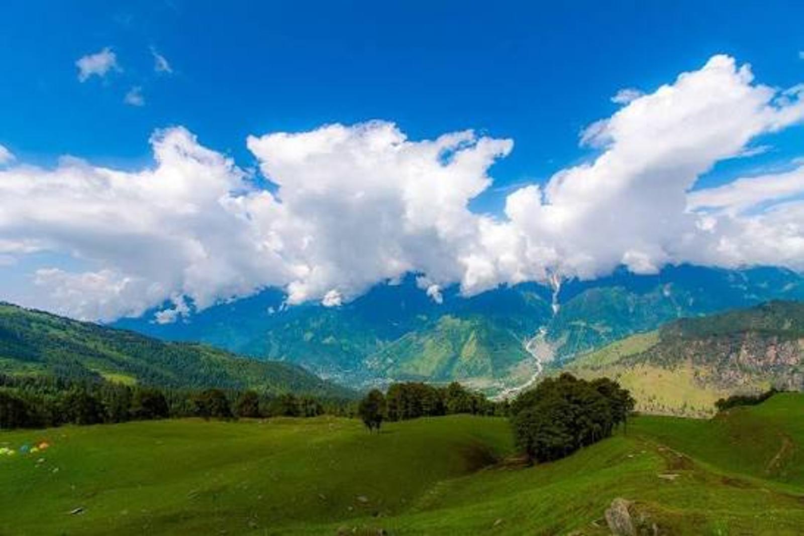 Alpine trek to a high meadow