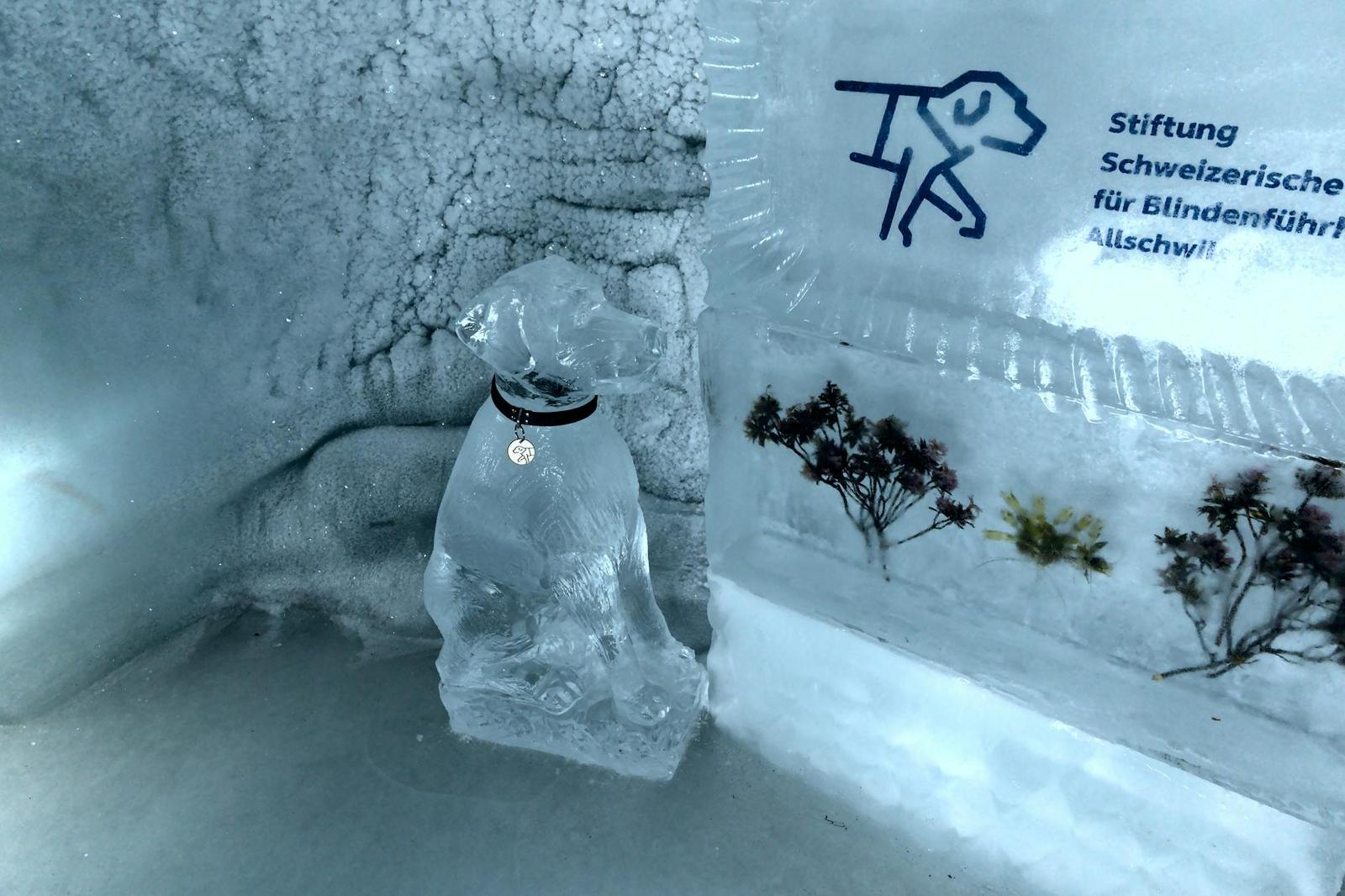 Ice sculpture of a dog with sign at Jungfraujoch, featuring delicate ice details