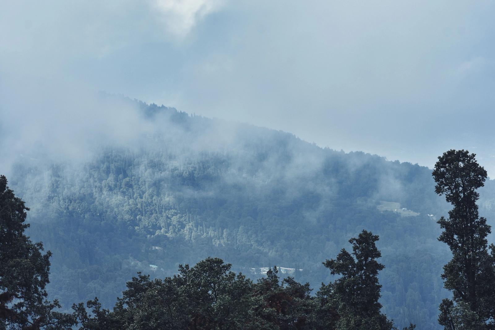 Serene misty view of forested mountains in Manali, Himachal Pradesh, India