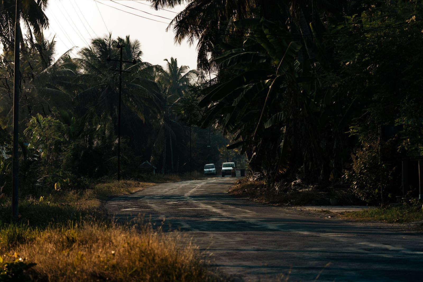 A car driving down a shaded palm-lined road at dusk