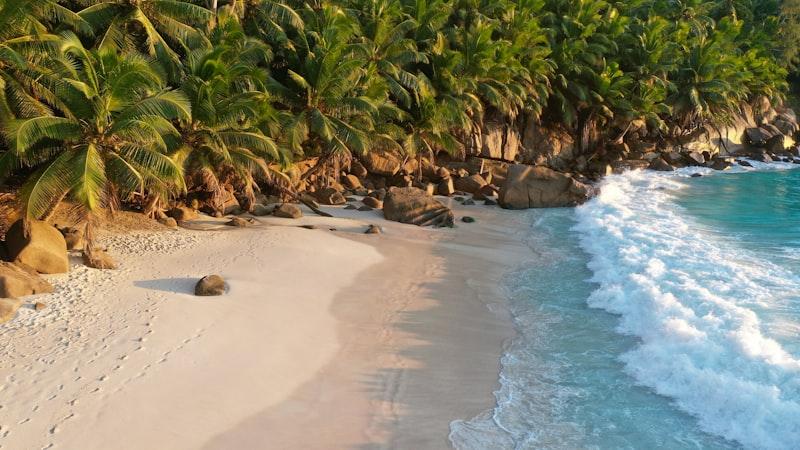 Anse Intendance Mahé