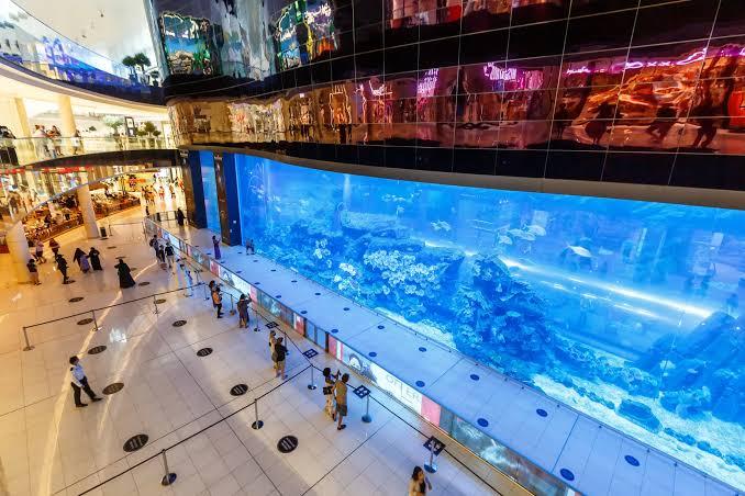 Half-Day City Tour Visit to Burj Khalifa + Dubai Aquarium & Underwater Zoo