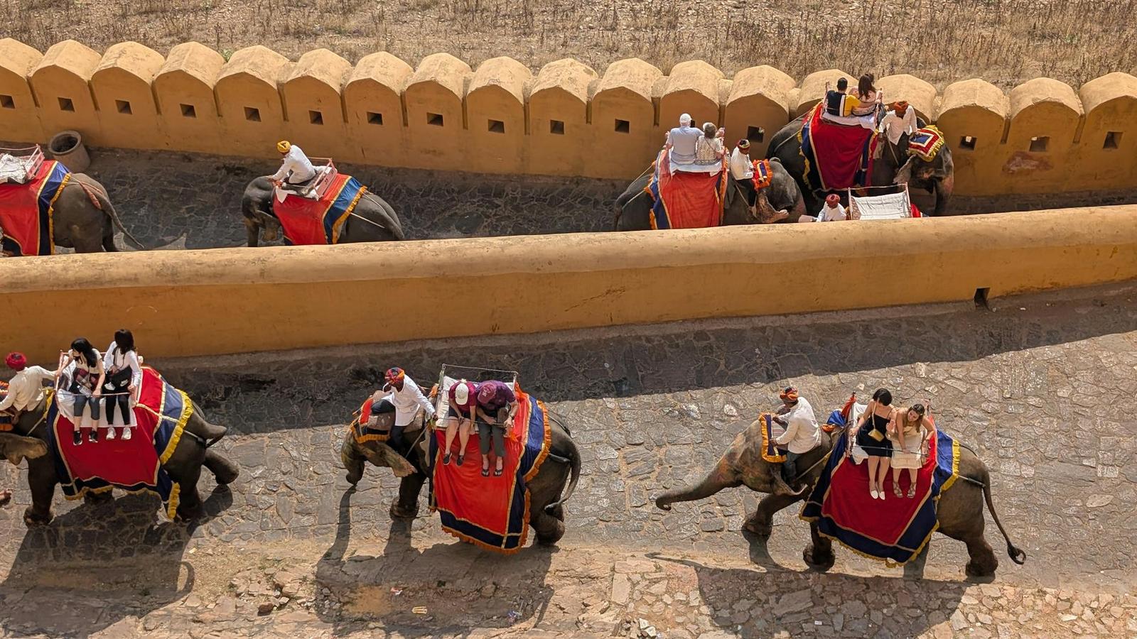Jaipur City Tour, India