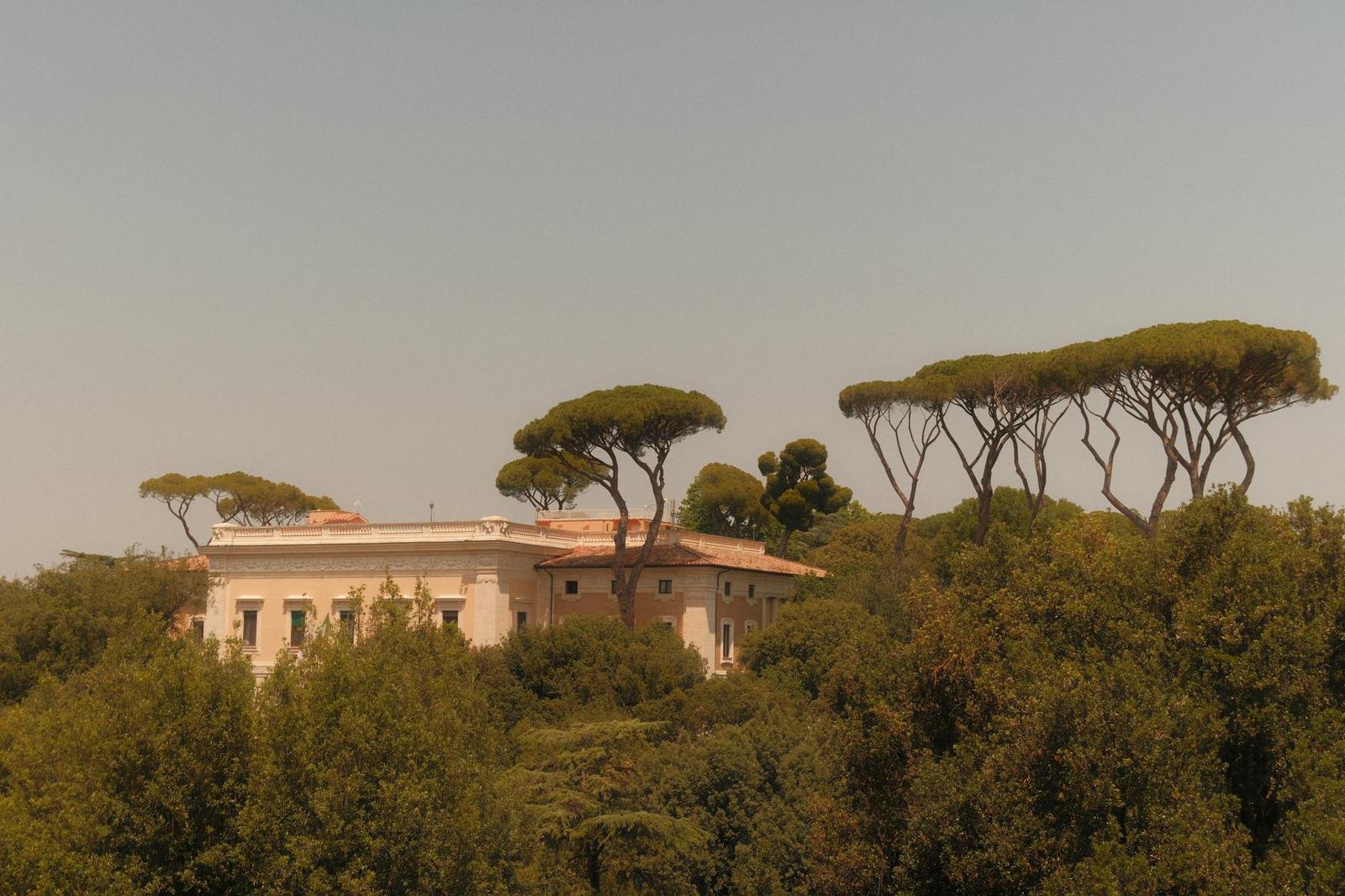 A stately villa framed by umbrella pine trees on a hillside