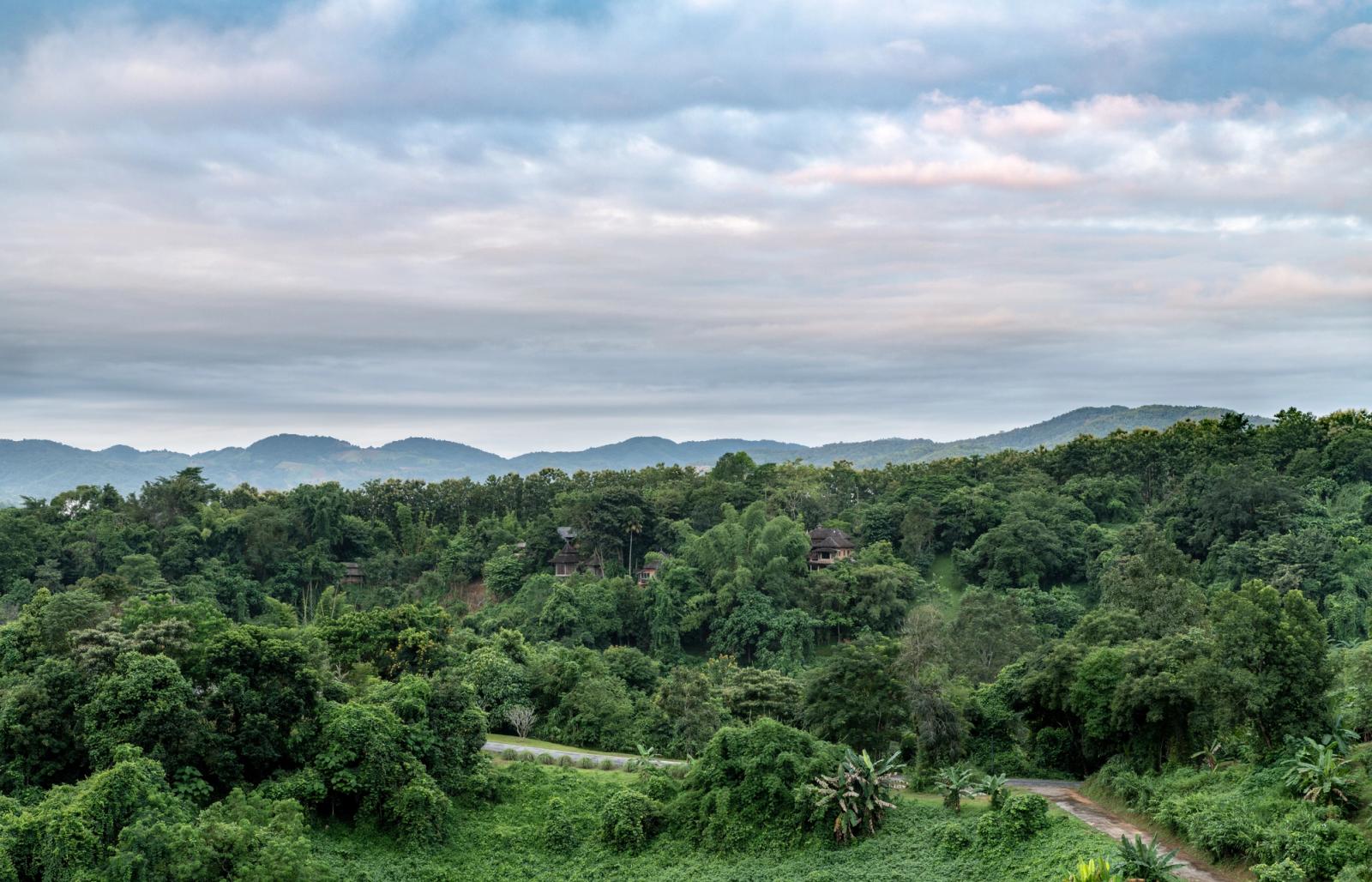Beautiful view of lush green hills and forests in Chiang Rai, Thailand under a cloudy sky