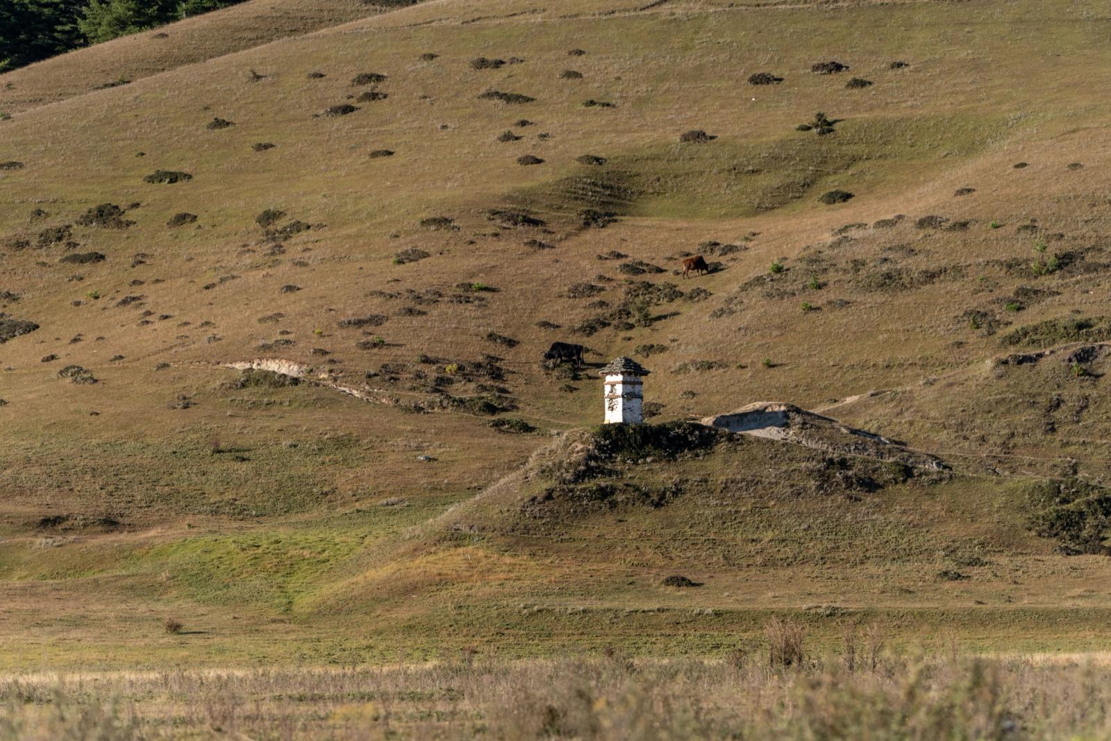 A solitary watchtower amidst the rolling hills of Bhutan, bathed in serene daylight