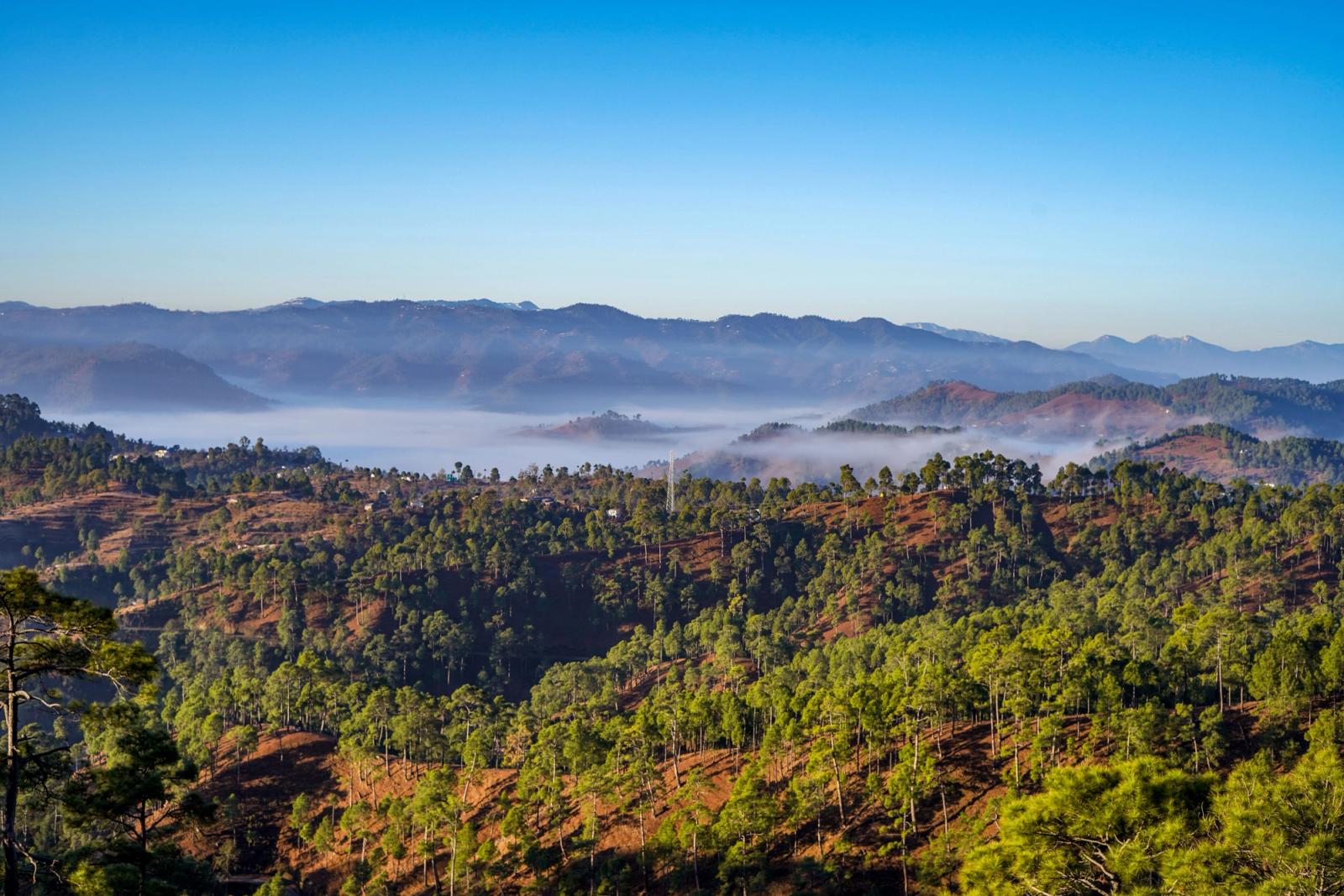 Scenic view of misty hills and forest in northern India. Perfect for nature lovers