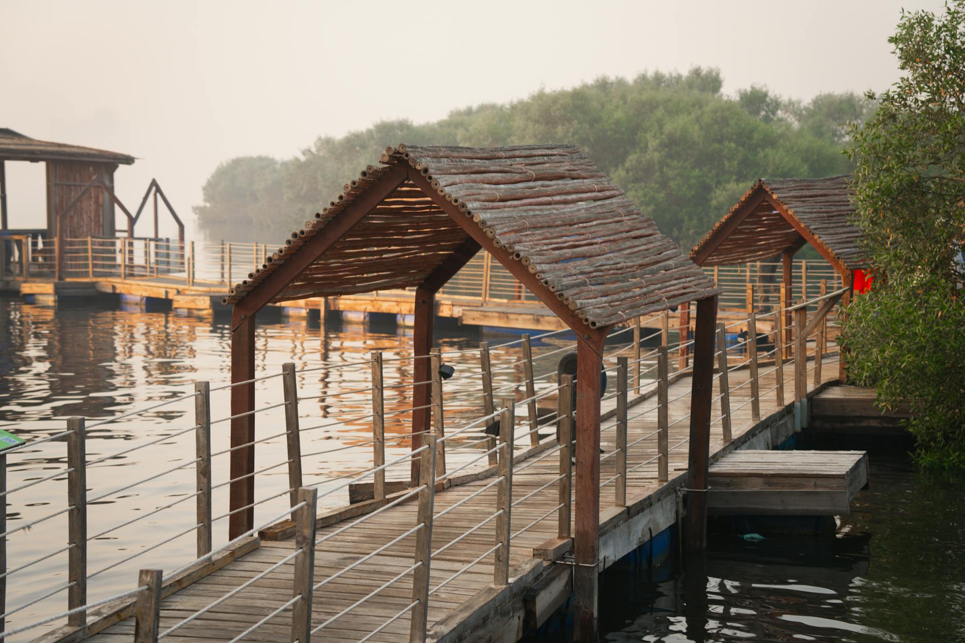 Mangrove architecture at night