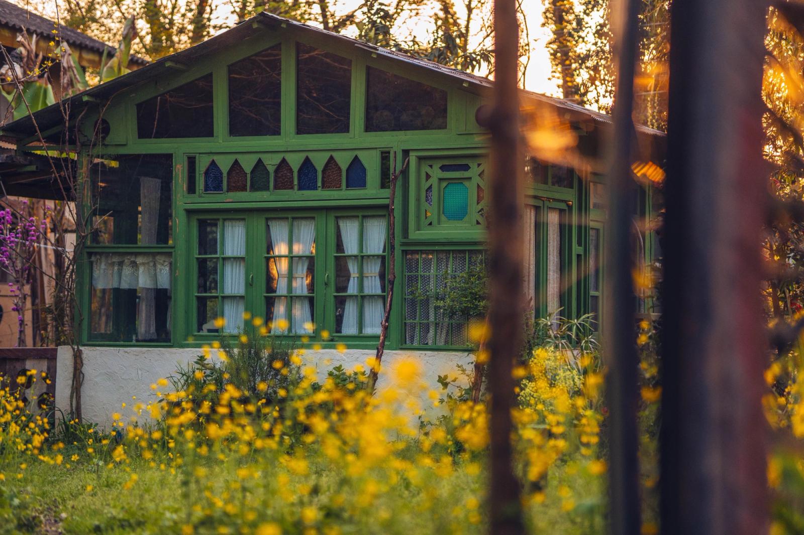 Idyllic green cottage amidst blooming yellow wildflowers and trees at sunset