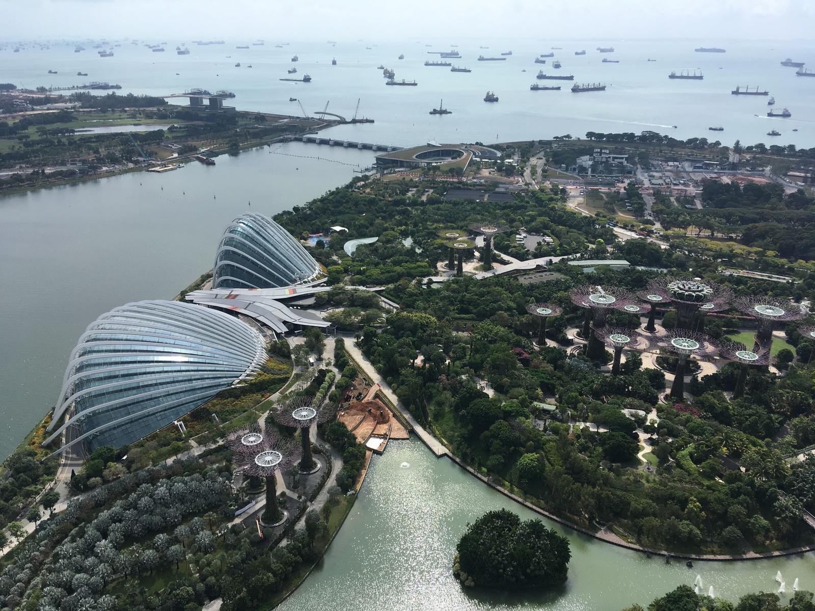 Aerial view of glass conservatory domes in a landscaped park beside a busy harbour