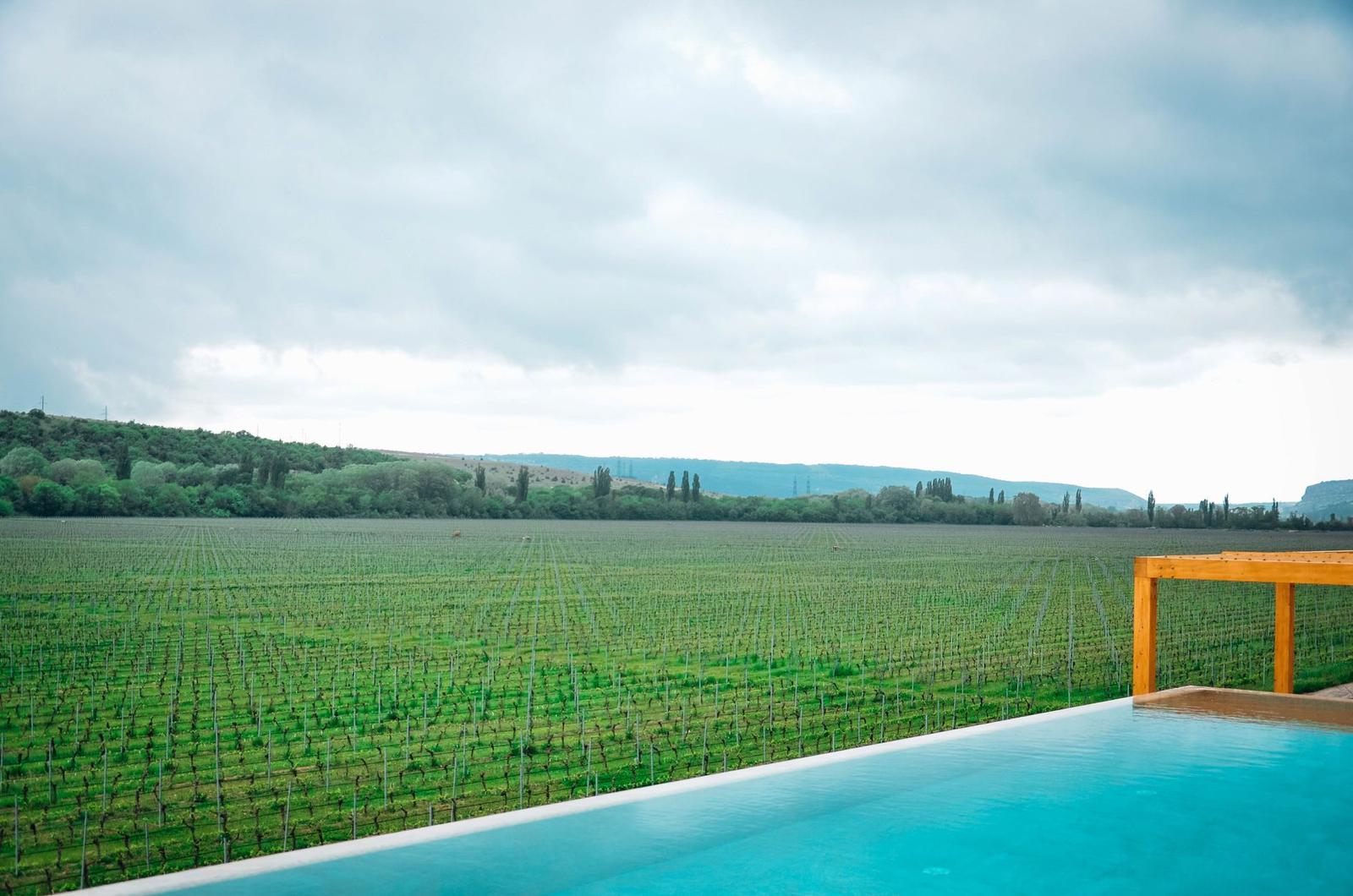 Sula vineyards — Nashik, India