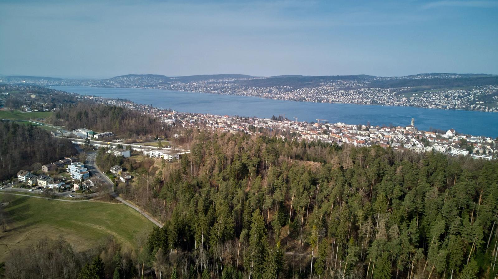 Scenic aerial view of Thalwil in Switzerland with lush forests and Lake Zurich in the background