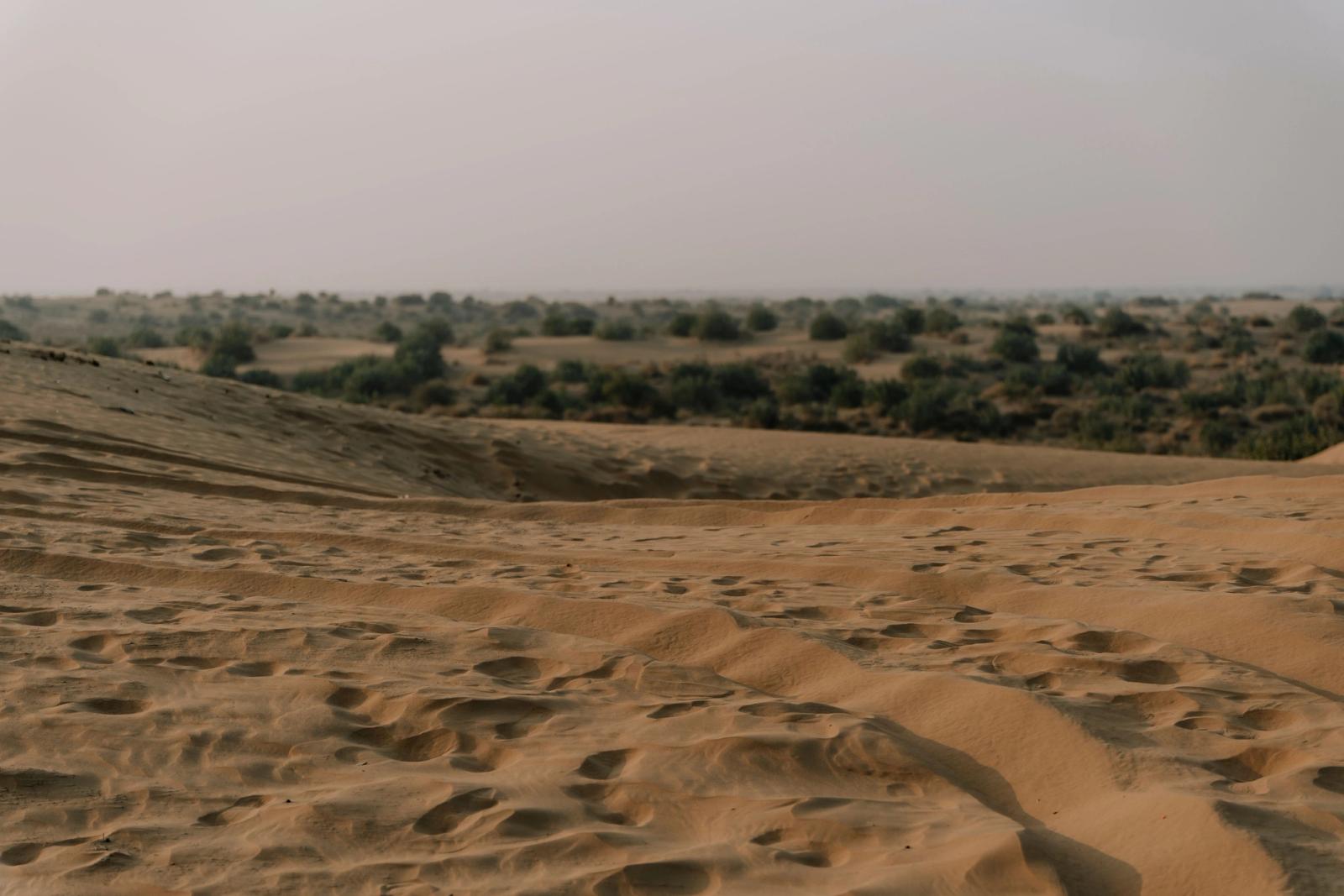 Rajwada Desert Camps, Camp sand dunes