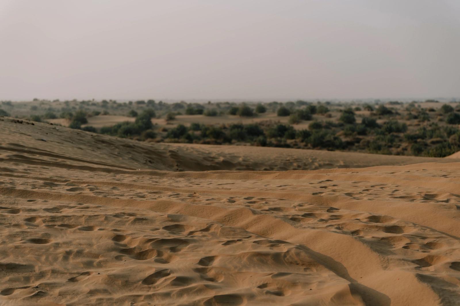 Rajwada Desert Camps, Camp sand dunes