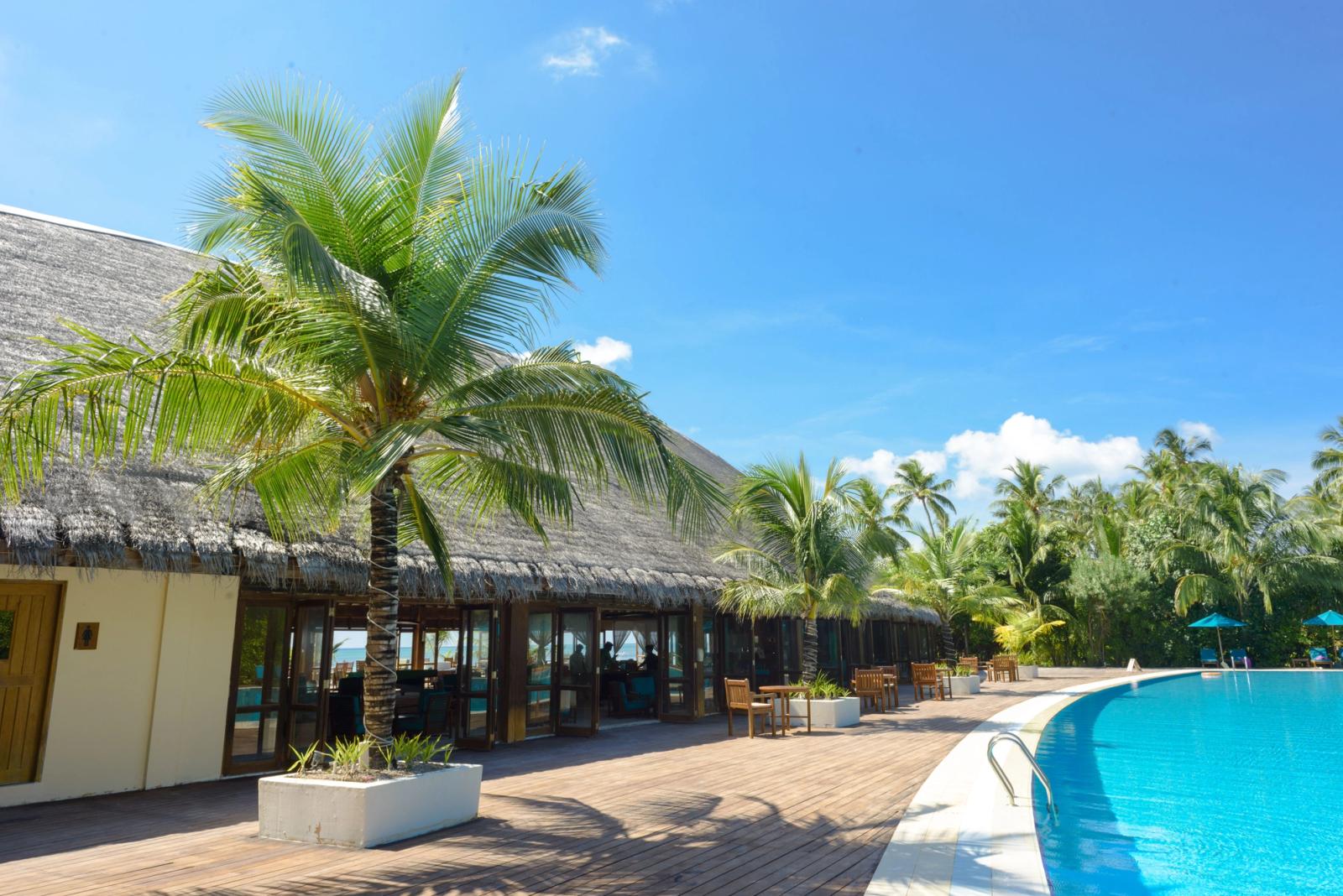 Explore a luxury resort with palm trees and a stunning pool in the Maldives, perfect for a tropical vacation