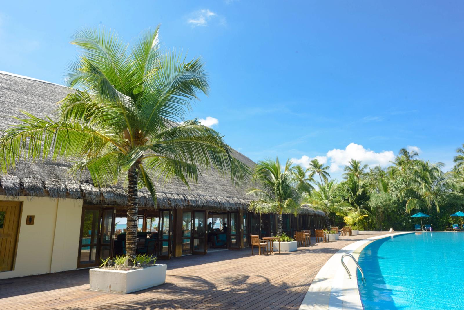 Explore a luxury resort with palm trees and a stunning pool in the Maldives, perfect for a tropical vacation
