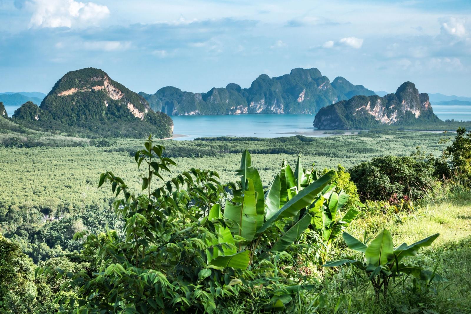 Explore the stunning landscape of Phang Nga Bay from a lush green viewpoint in Phuket, Thailand
