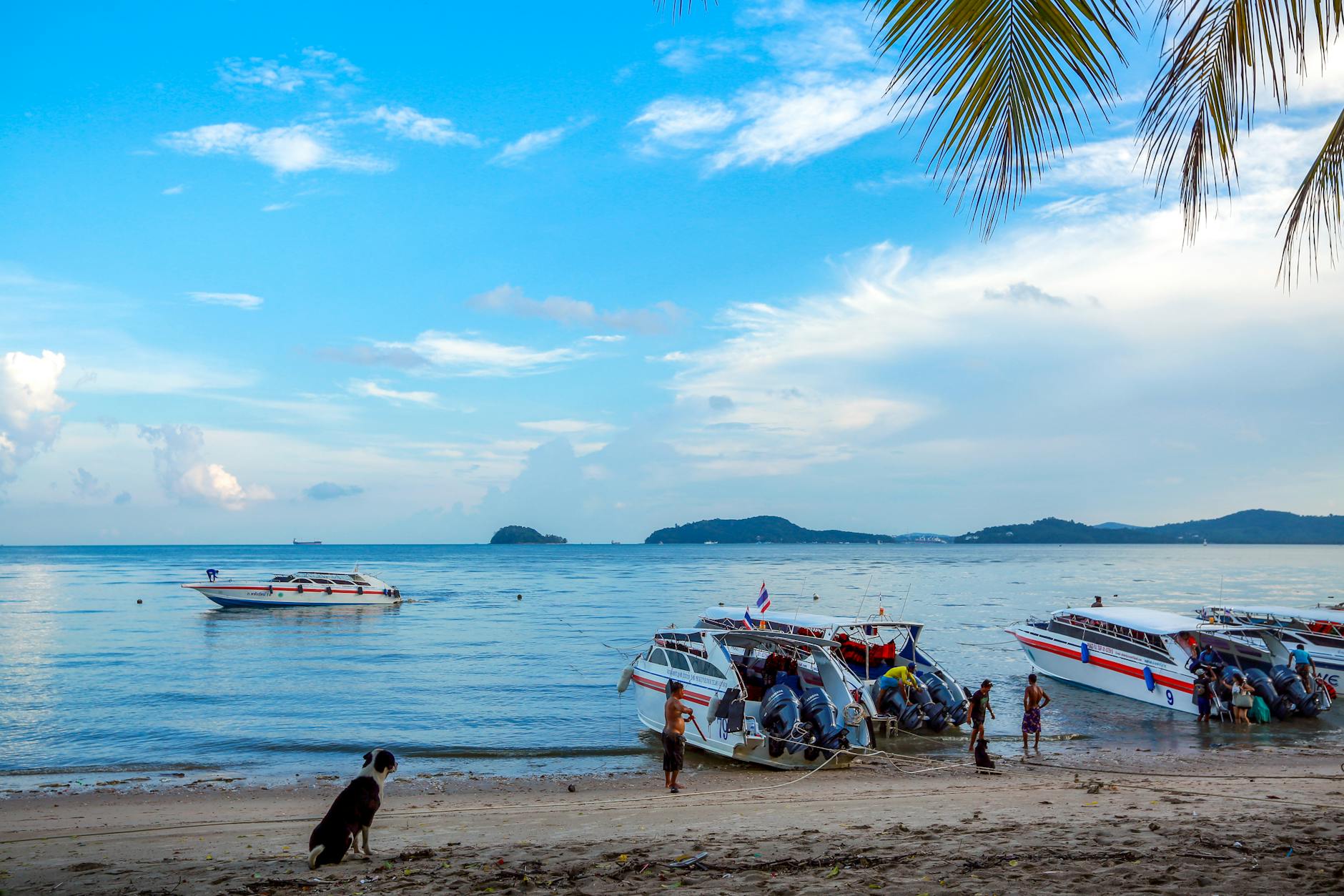 Coral Island By Speed Boat With Indian Lunch on day 2, Thailand