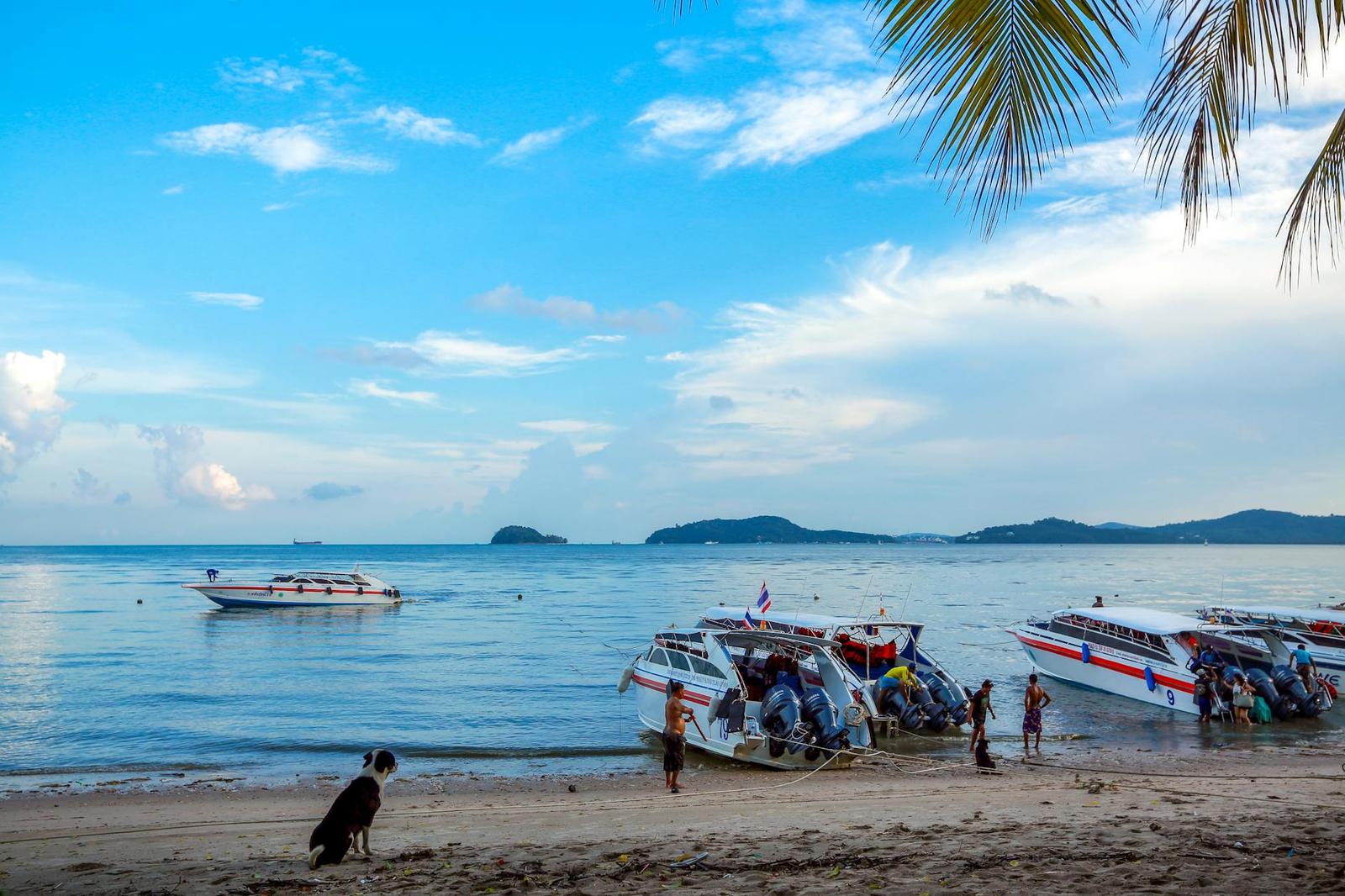 Coral Island By Speed Boat With Indian Lunch on day 2, Thailand