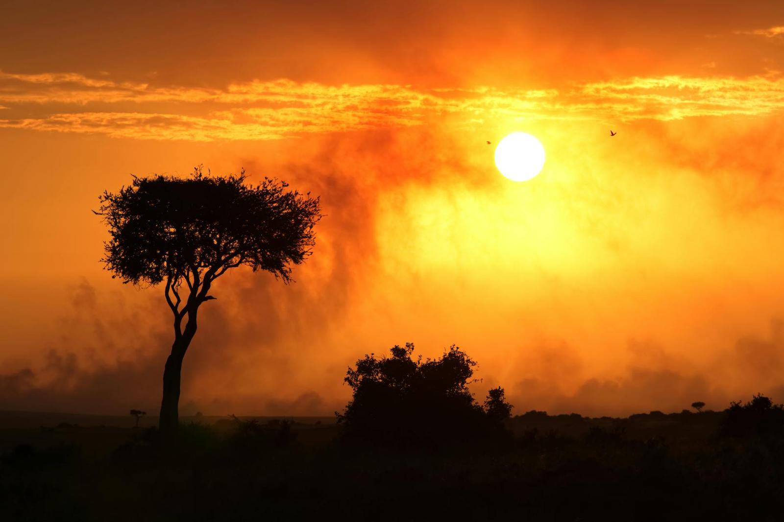 Light aircraft — Masai Mara, Kenya