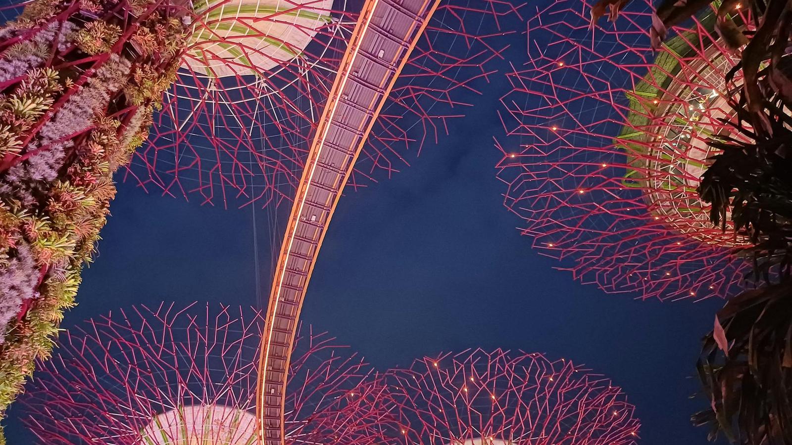 Half Day City Tour & Gardens By The Bay on day 6, Malaysia + Singapore