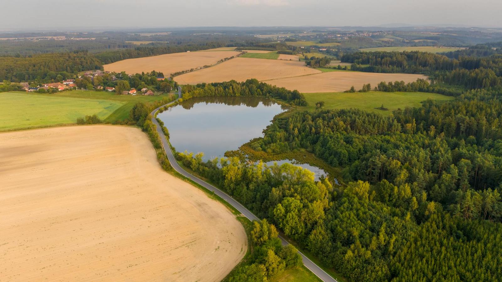 Aerial view of a pond ringed by golden farmland and forest