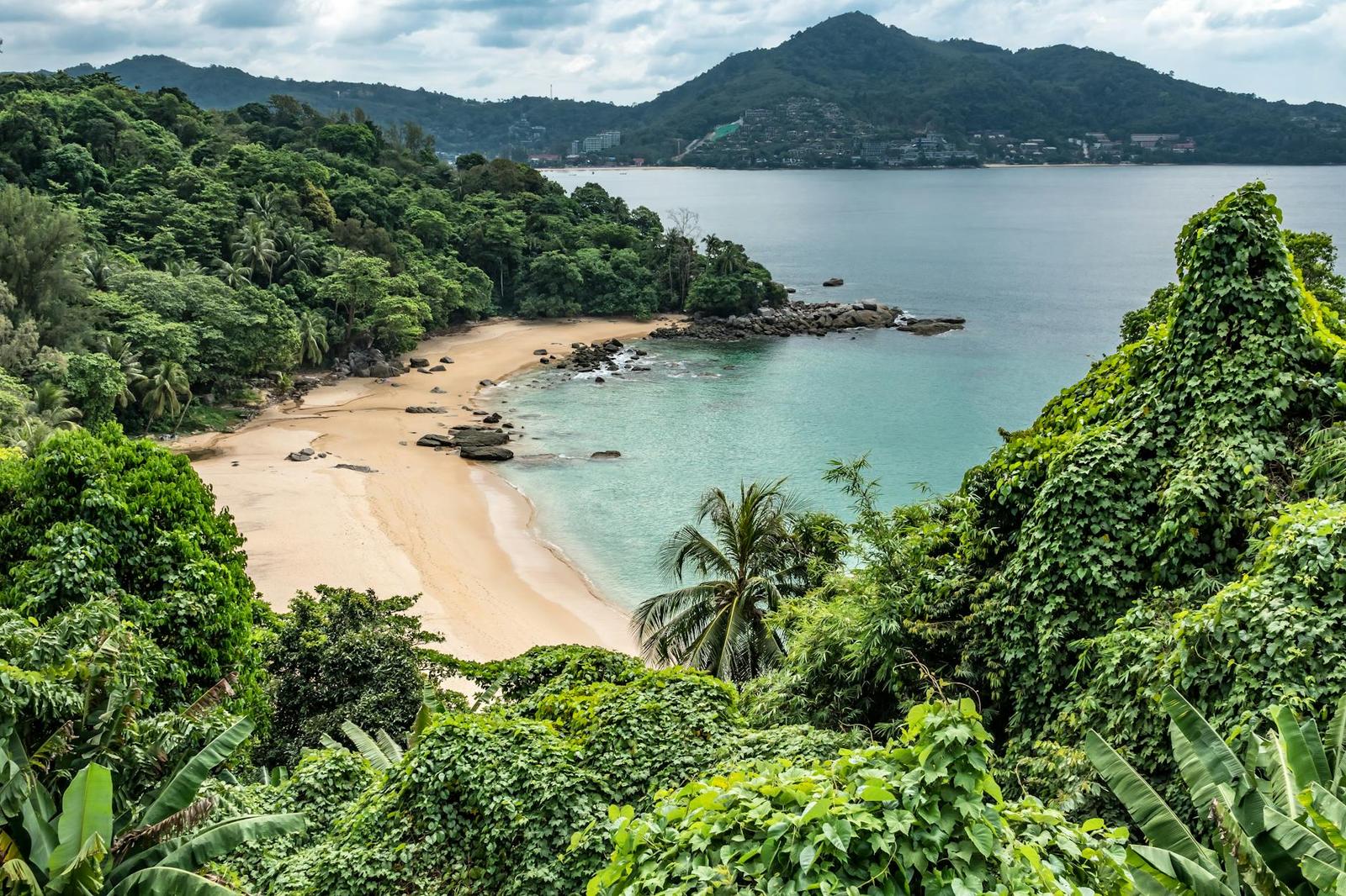 Aerial view of a secluded sandy cove framed by dense green forest