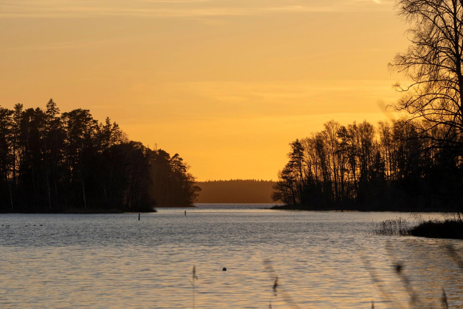 Peaceful lake landscape with trees silhouetted against a warm sunset sky