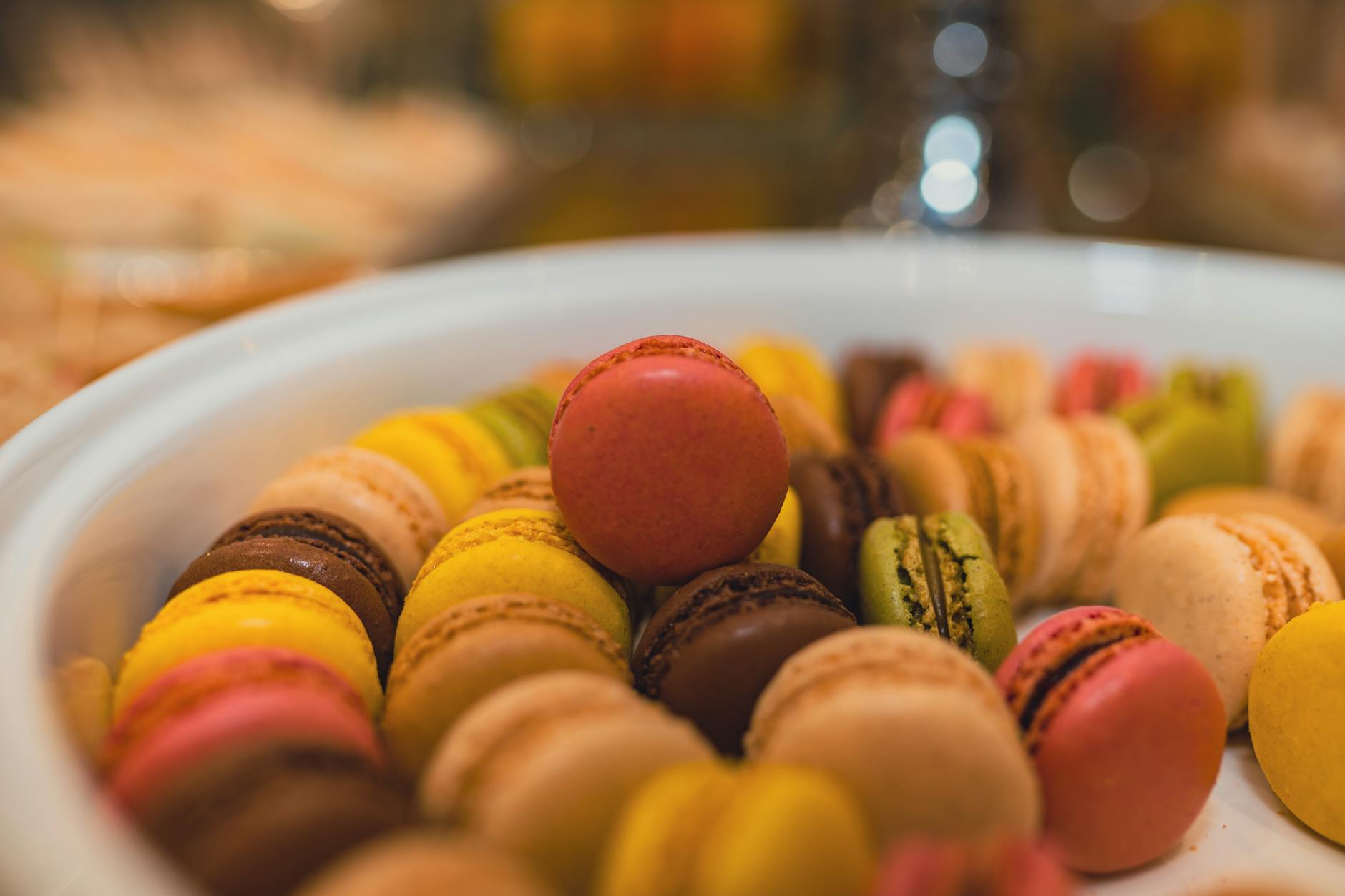Traditional food of Netherlands + France + Switzerland + Italy