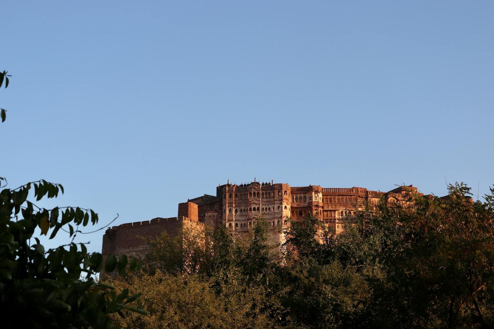 Jodhpur on day 5, India