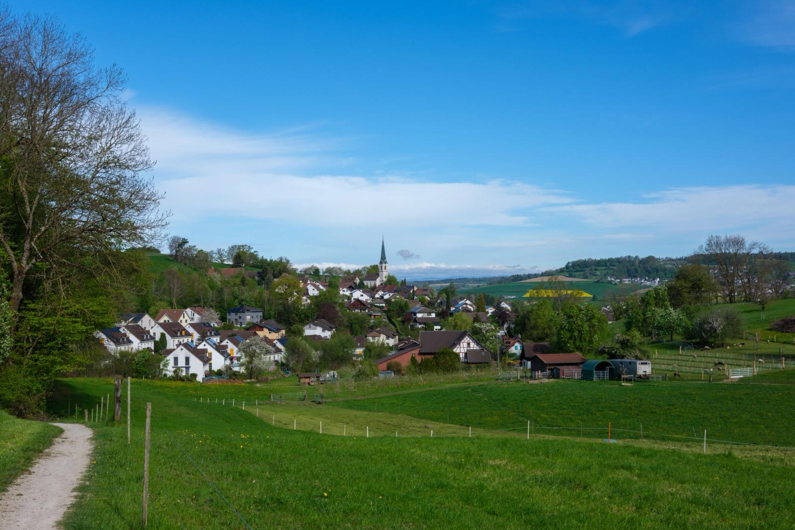 Charming village landscape in Niederweningen, Zürich, with lush green fields and blue sky