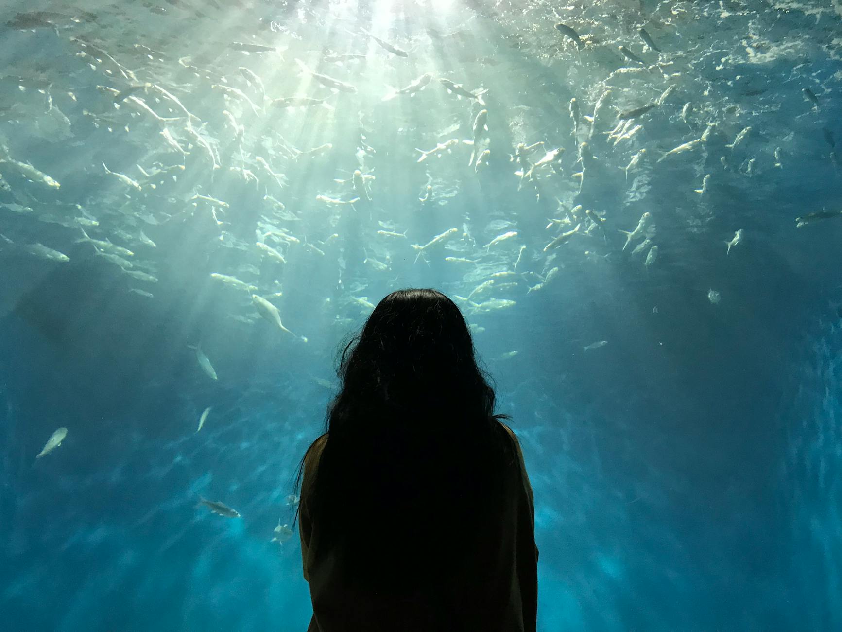 Manila Ocean Park, Philippines