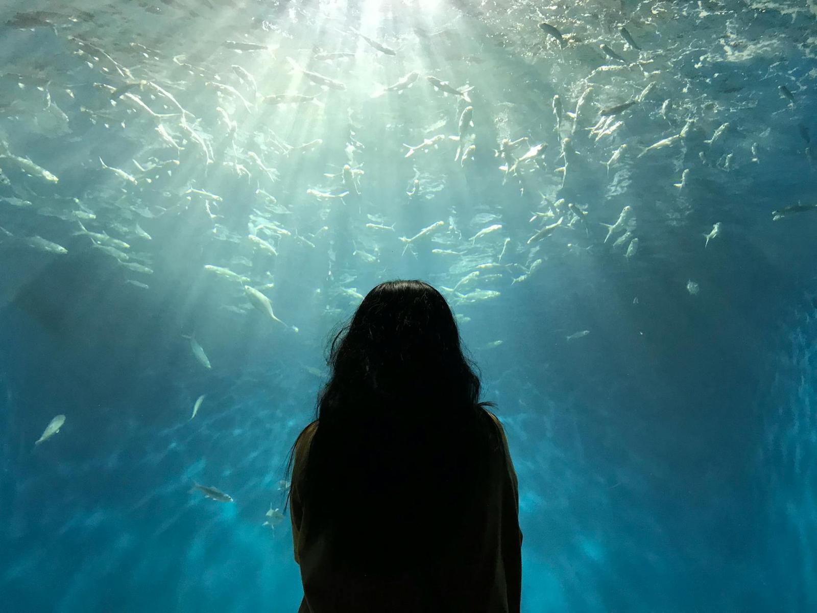 Manila Ocean Park, Philippines