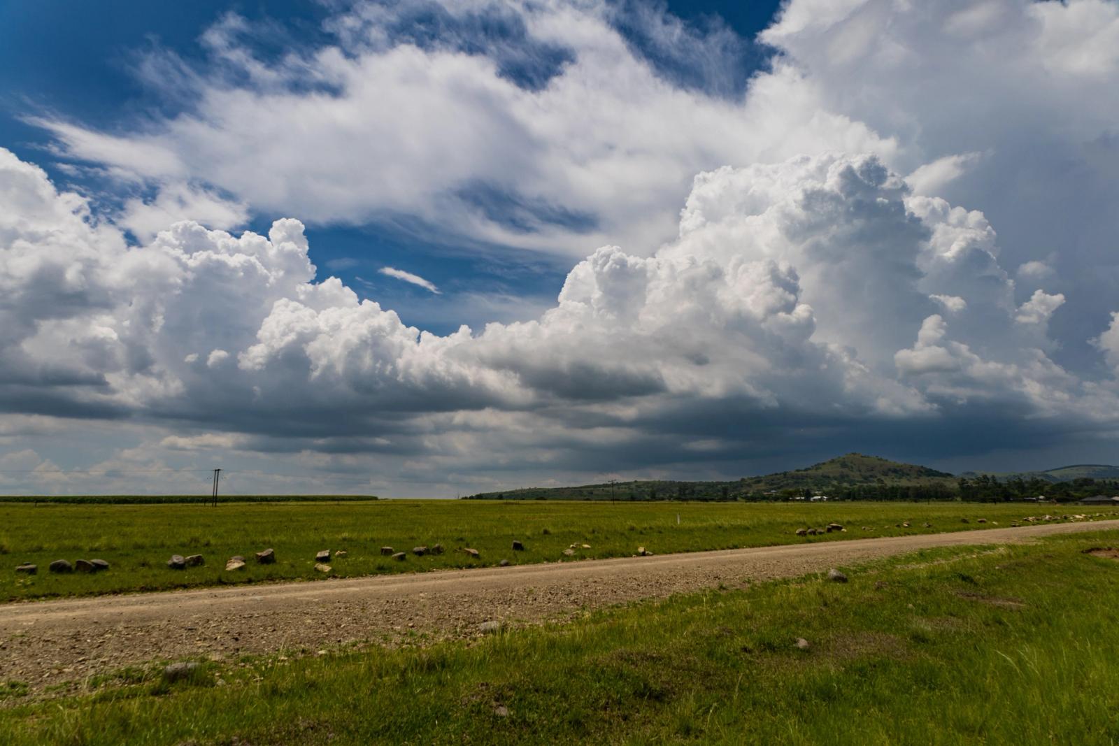 Grazing sheep dot a grassy plain beside a dirt road under towering storm clouds