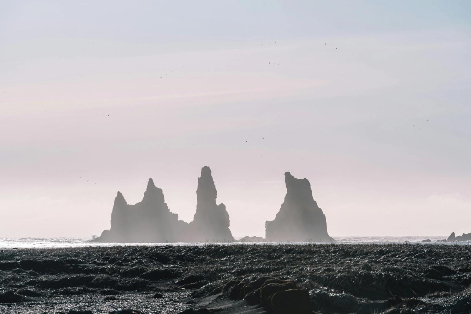 Reykjavik - South Coast Tour - Vik, Iceland
