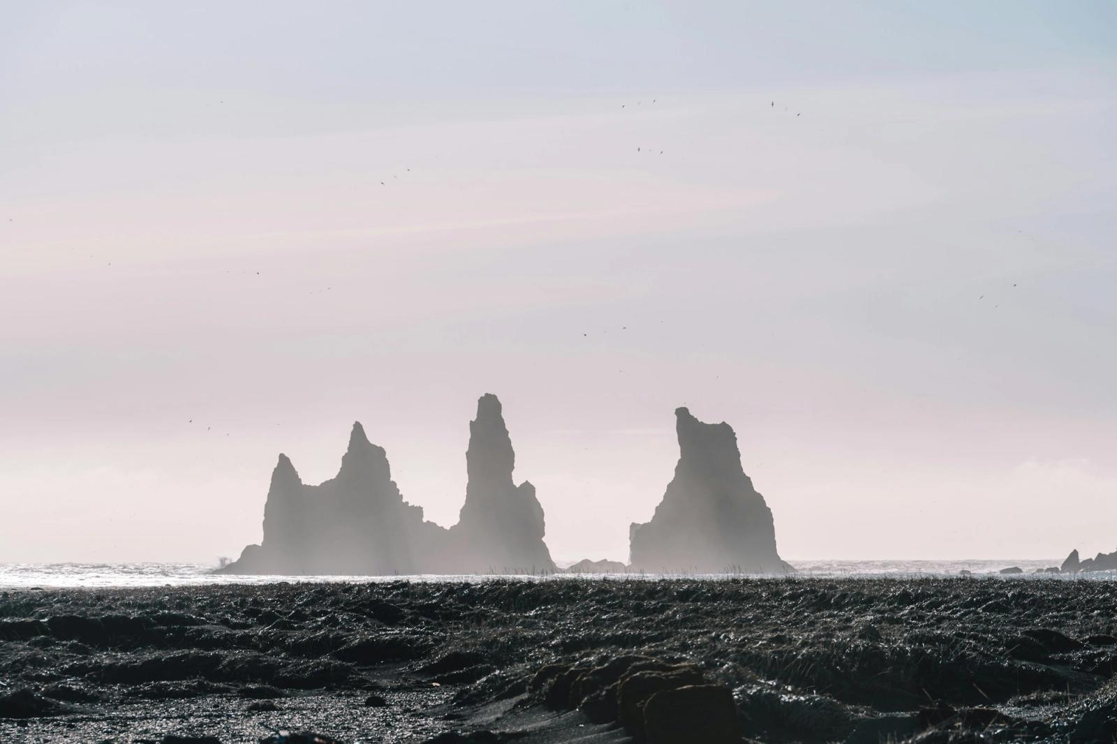 Reykjavik - South Coast Tour - Vik, Iceland