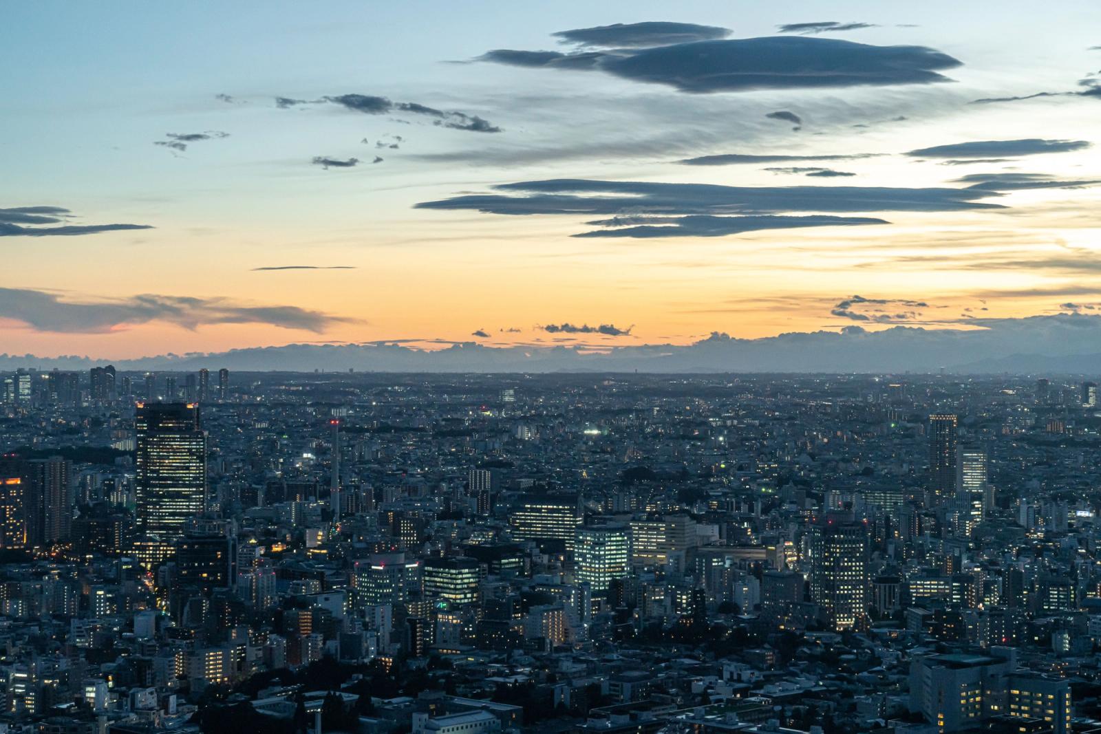 Panoramic view of Tokyo city skyline at twilight, highlighting modern architecture