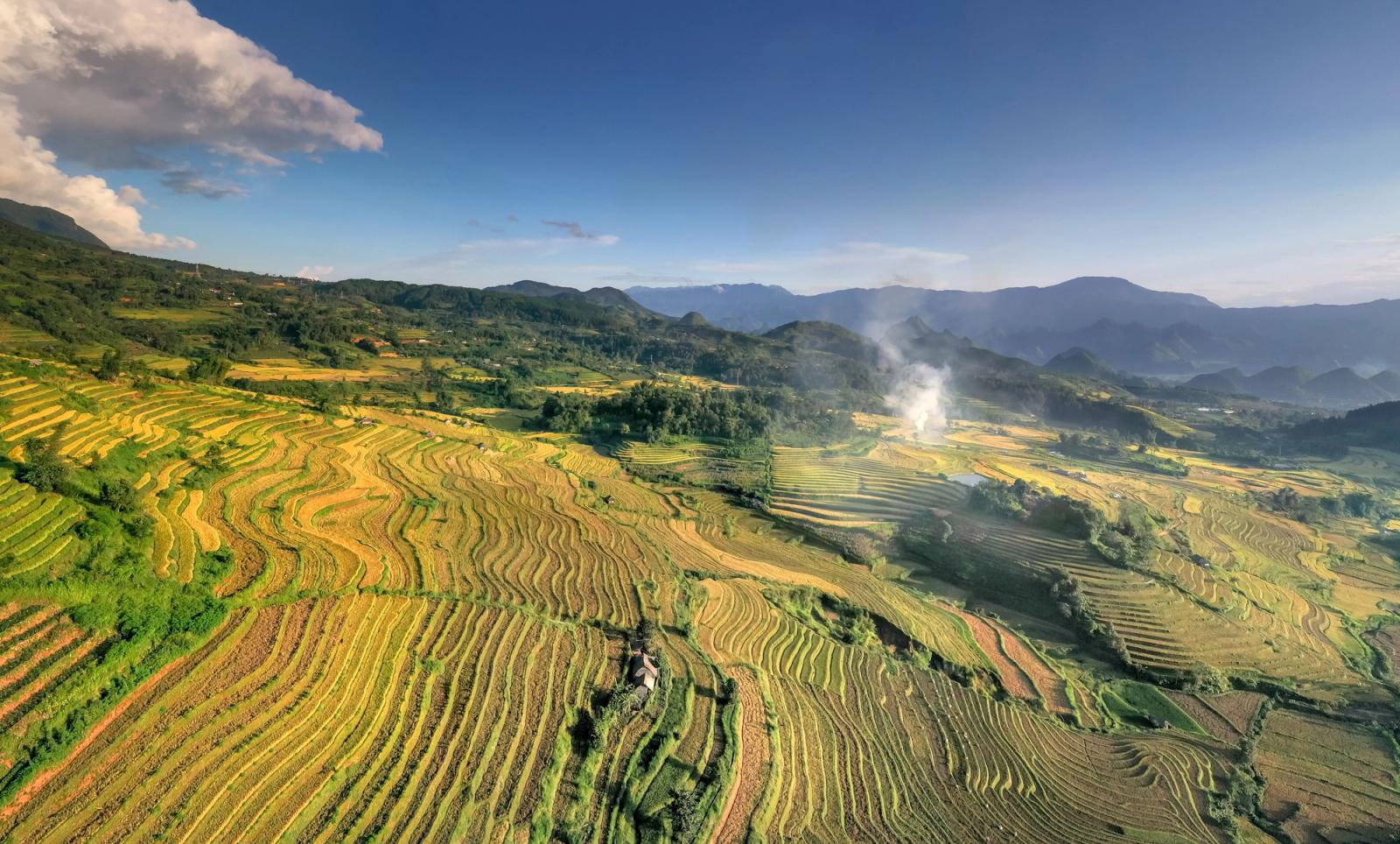 A breathtaking aerial shot of lush terraced rice fields with distant mountains under a clear blue sky