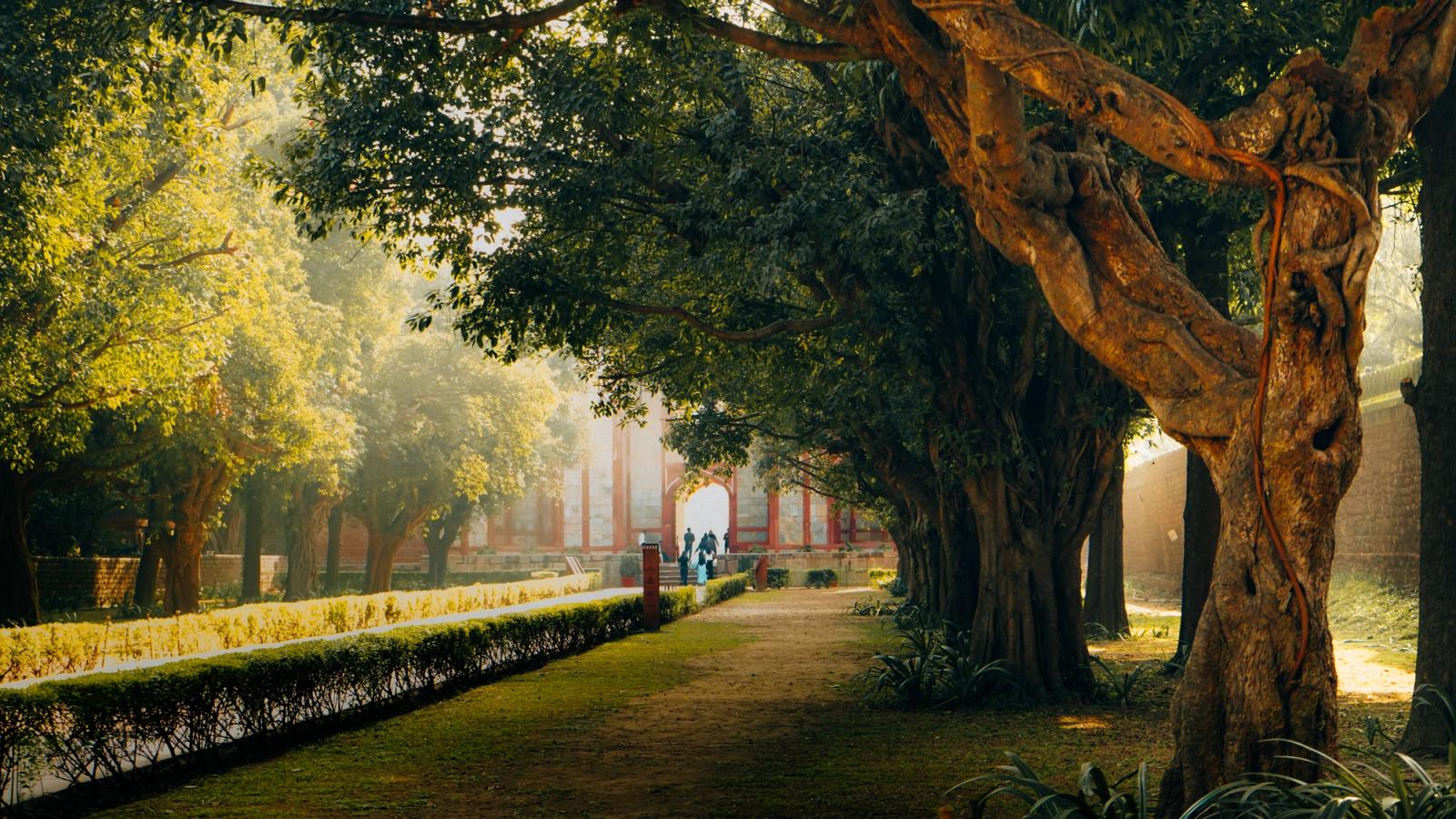 A tranquil garden path leading to a historic Indian monument in Delhi, India, with lush greenery