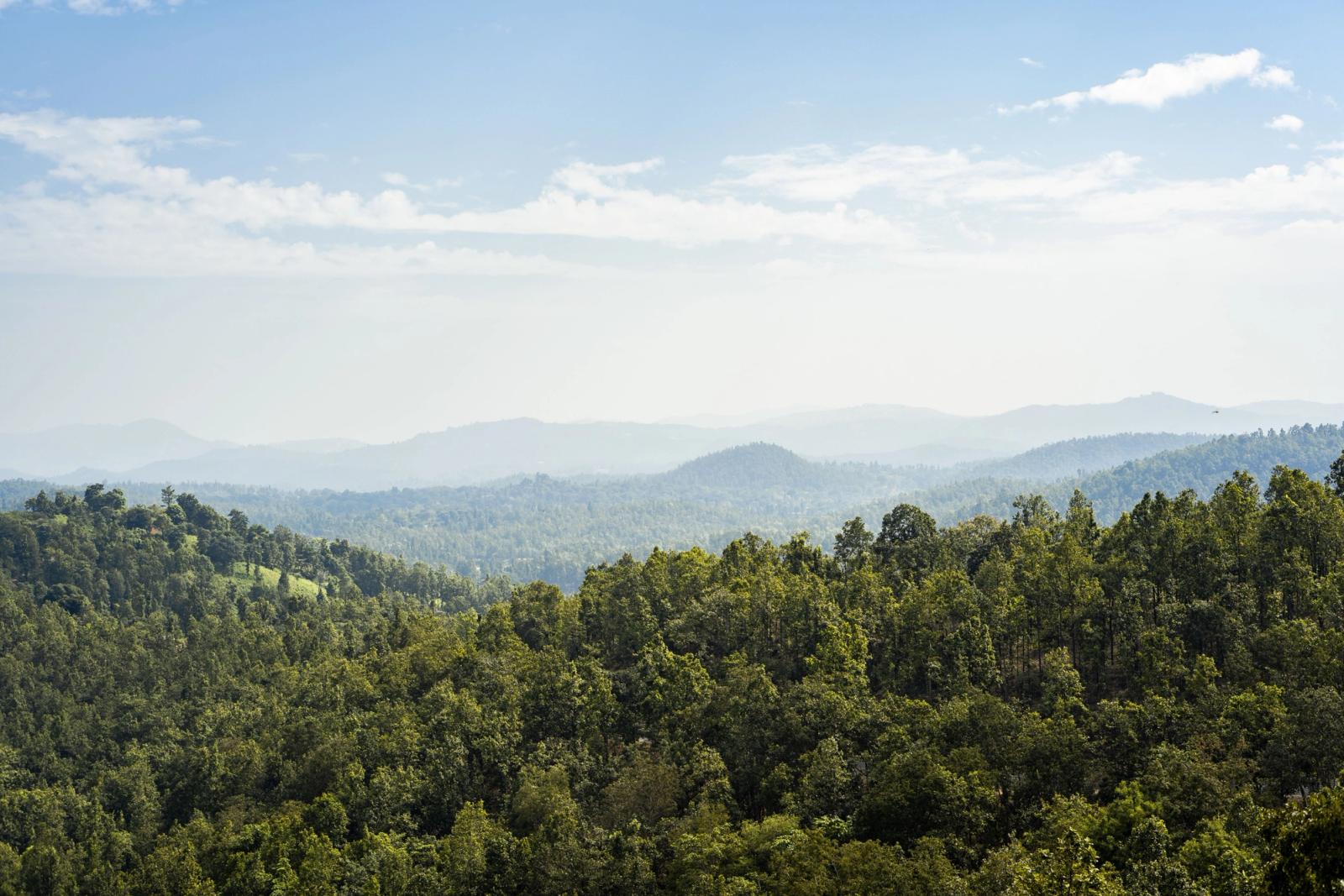 Scenic view of lush forests and distant mountains under a clear blue sky in India