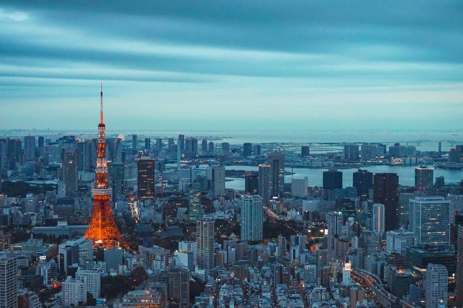 Japan Immersion Programme